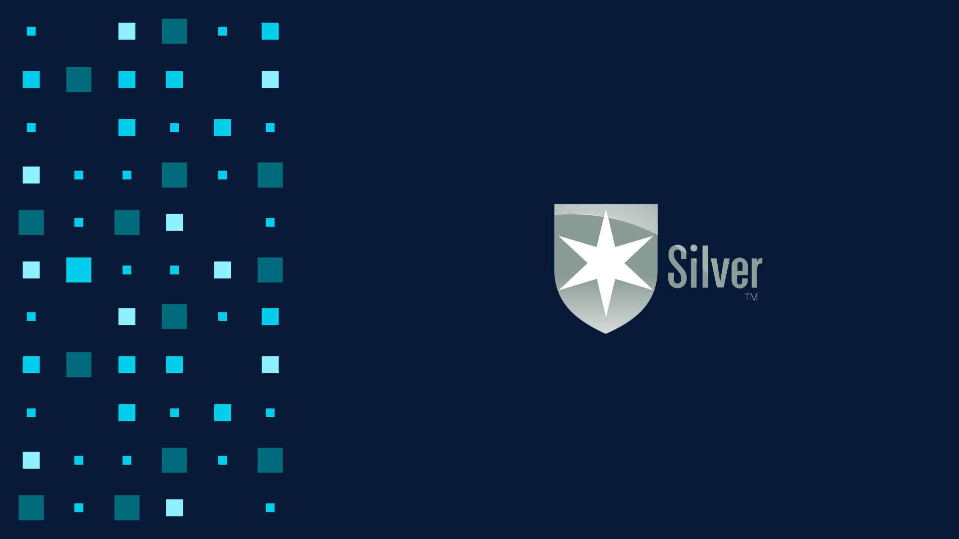 Morningstar Silver Medalist Rating logo