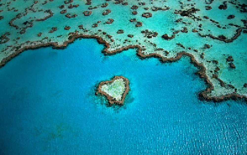 Aerial view of ocean and island